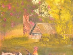 Poules-et-coq